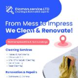 Company/TP logo - "Diamon.Service.LTD"