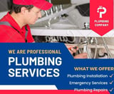 Company/TP logo - "The Bathroom Services"