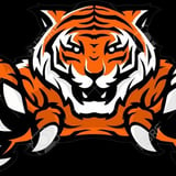 Company/TP logo - "Tiger 65"