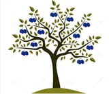 Company/TP logo - "Plumtree Home Improvements"