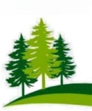 Company/TP logo - "Tree Services"