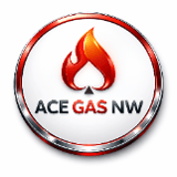 Company/TP logo - "Ace Gas Services"