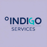 Company/TP logo - "INDIGO CONSULTANCY SERVICES LTD"
