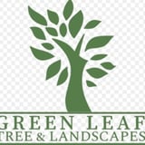 Company/TP logo - "Greenleaf Tree & Landscapes"