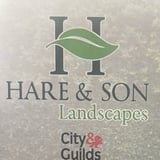 Company/TP logo - "Hare & Son"