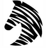 Company/TP logo - "zebraplumbing and heating"