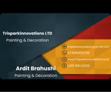 Company/TP logo - "TRI SPARK INNOVATIONS LTD"