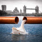 Company/TP logo - "Grip Plumbing"