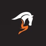 Company/TP logo - "White Horse Roofing"