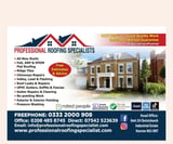 Company/TP logo - "Professional Roofing Specialist"