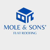 Company/TP logo - "Mole & Sons"