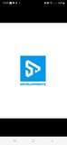 Company/TP logo - "ST Developments"