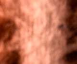 Company/TP logo - "GMN Brush"