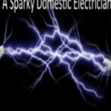 Company/TP logo - "a sparky domestic electrician "
