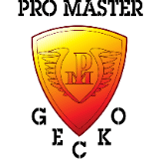 Company/TP logo - "Promaster Gecko Plastering"