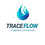 Company/TP logo - "Trace Flow Services"