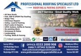 Company/TP logo - "Professional Roofing"