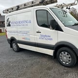 Company/TP logo - "Youngs Roofing & Painting Contractors LTD"