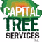 Company/TP logo - "Capital Tree Services Ltd"