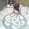 Company/TP logo - "Landstones"