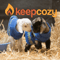 Company/TP logo - "KeepCozy"