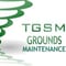 Company/TP logo - "The Green Stripe Men"