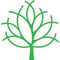 Company/TP logo - "NCS Group"