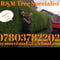 Company/TP logo - "R&M Tree Specialists"