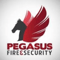 Company/TP logo - "Pegasus Fire & Security"