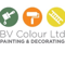 Company/TP logo - "BV Colour"
