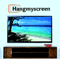 Company/TP logo - "Hangmyscreen"