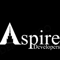 Company/TP logo - "Aspire developers"