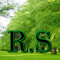 Company/TP logo - "R.S Landscape & Maintanance"