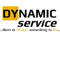 Company/TP logo - "Dynamic Service Solutions"