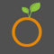 Company/TP logo - "Orange Electrical"
