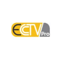 Company/TP logo - "E CCTV Pro"