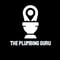 Company/TP logo - "The Plumbing Guru"