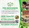 Company/TP logo - "Pure Green Gardens"