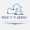 Company/TP logo - "Probity Plumbing"