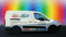 Company/TP logo - "True Colours"