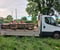 Company/TP logo - "JJ'S All Seasons Tree & Gardening Services "