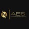 Company/TP logo - "Advantage Electrical Services "