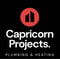 Company/TP logo - "Capricorn"