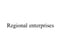 Company/TP logo - "Regional Enterprises"