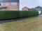Company/TP logo - "JHG & Sons Garden & Property Maintenance"