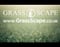 Company/TP logo - "Grass scape"