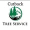 Company/TP logo - "Cutback Drives & Landscaping"