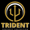 Company/TP logo - "TRIDENT PROPERTY PROTECTION LIMITED"