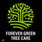 Company/TP logo - "Forever Green Tree Services"