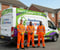 Company/TP logo - "Swedison Clear & Move"
